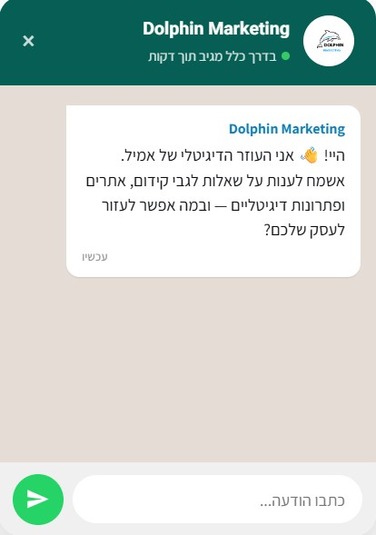 צ'אטבוט Dolphin